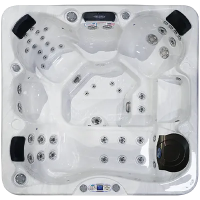 Avalon EC-849L hot tubs for sale in Hayward