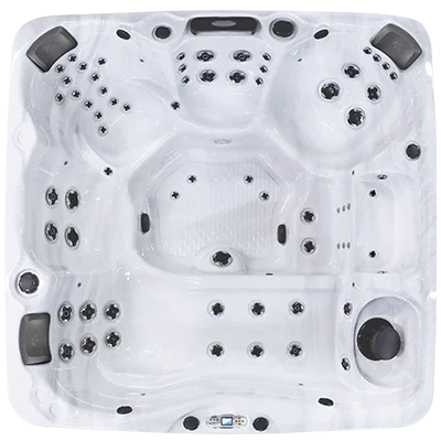 Avalon EC-867L hot tubs for sale in Hayward
