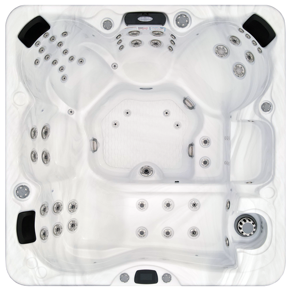 Avalon-X EC-867LX hot tubs for sale in Hayward
